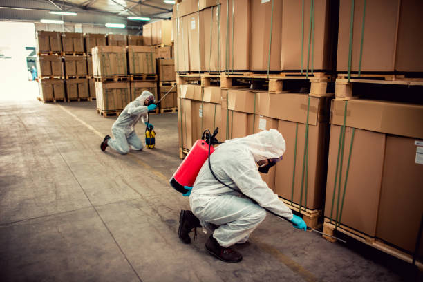 Best Wildlife Control Services  in Wilsonville, AL