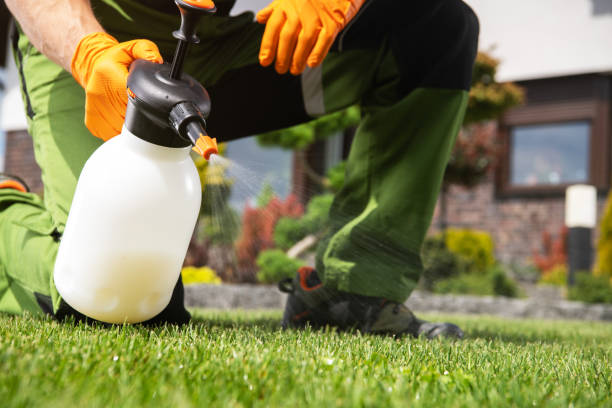 Best Best Pest Control Companies  in Wilsonville, AL
