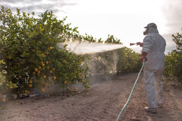 Best Affordable Pest Control Services  in Wilsonville, AL