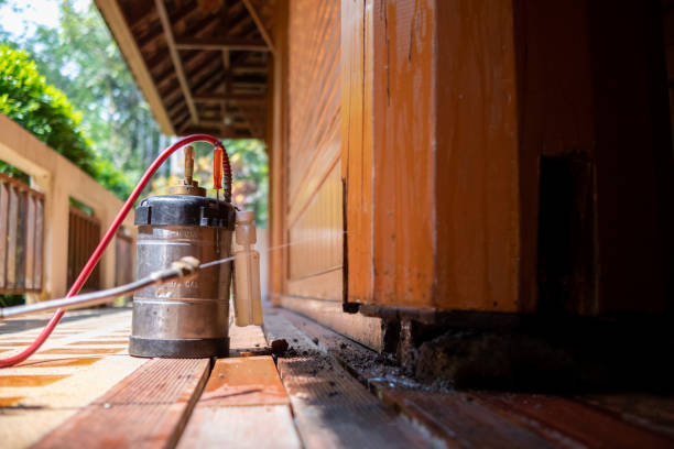 Best Pest Inspection Near Me  in Wilsonville, AL