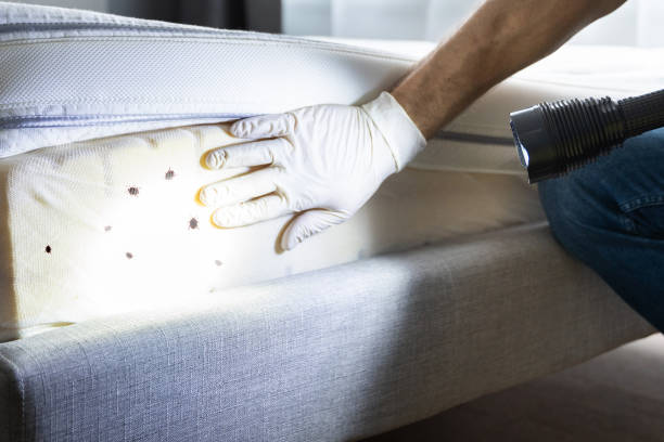 Best Mosquito Control Services  in Wilsonville, AL