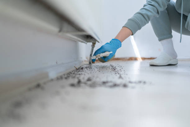 Wilsonville, AL Pest Control Company